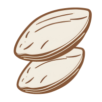 MMN Singapore Logo
